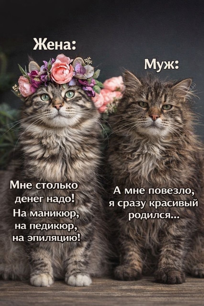 Жена: Мне столько денег надо! На маникюр, на педикюр, на эпиляцию!\nМуж: А мне повезло, я сразу красивый родился...