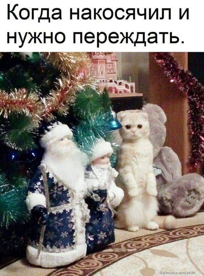 Когда накосячил и нужно переждать.