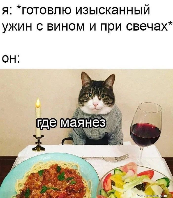 я: *готовлю изысканный ужин с вином и при свечах*
он:
где майонез