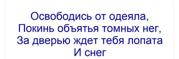 Освободись от одеяла, Покинь обьятья темных ног, За дверью ждёт тебя лопата И снег