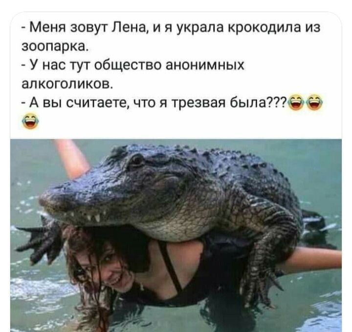 - Меня зовут Лена, и я украла крокодила из зоопарка. - У нас тут общество анонимных алкоголиков. - А вы считаете, что я трезвая была???😂😂😂