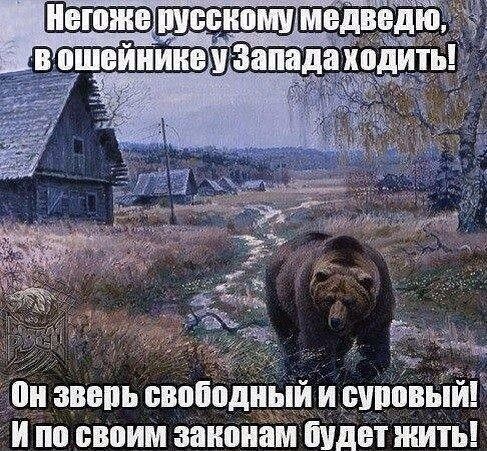 Негоже русскому медведю, в ошейнике у Запада ходить! Он зверь свободный и суровый! И по своим законам будет жить!