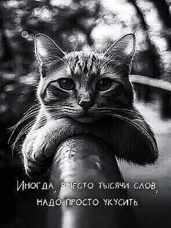 Иногда, вместо тысячи слов, надо просто укуcить