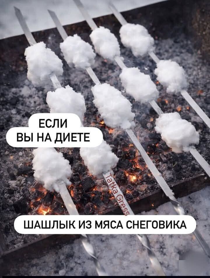 ЕСЛИ ВЫ НА ДИЕТЕ
ШАШЛЫК ИЗ МЯСА СНЕГОВИКА