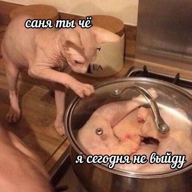 саня ты чё
я сегодня не выйду