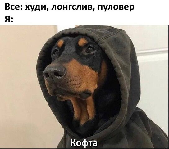 Все: худи, лонгслив, пуловер
Я: Кофта