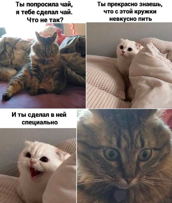 Ты попросила чай, я тебе сделал чай. Что не так? Ты прекрасно знаешь, что с этой кружки невкусно пить. И ты сделала в ней специально
