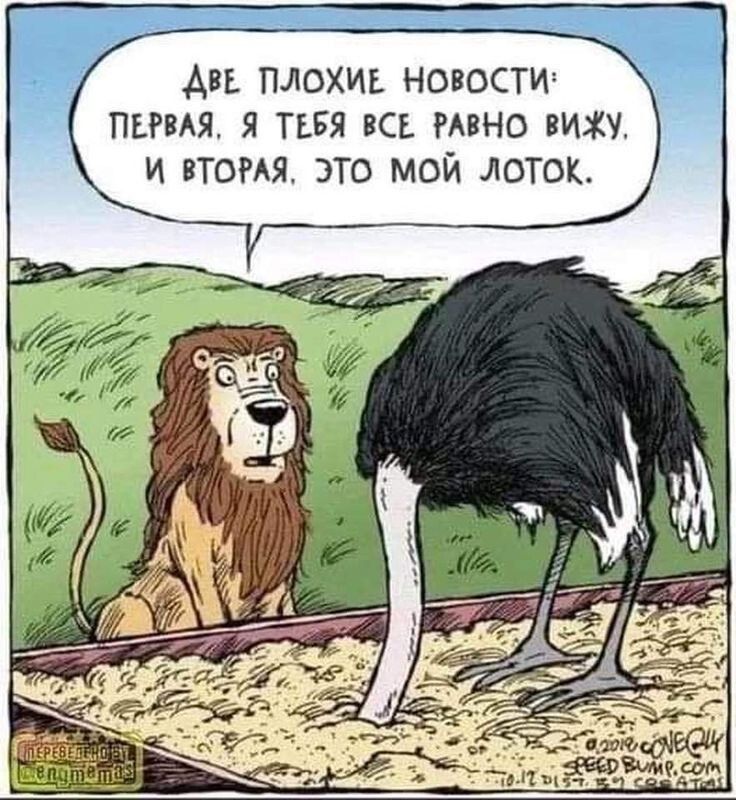Две плохие новости: первая, я тебя все равно вижу, и вторая, это мой лоток.