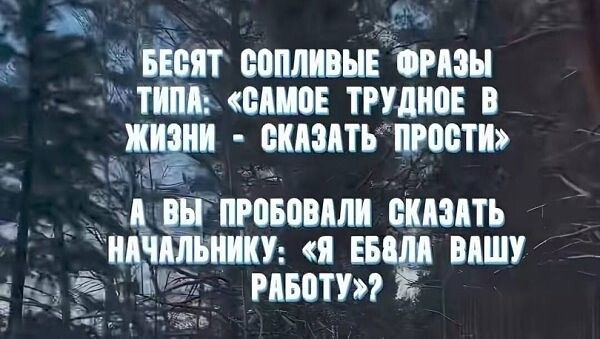 БЕСЯТ СОЛПЛИВЫЕ ФРАЗЫ ТИПА: «САМОЕ ТРУДНОЕ В ЖИЗНИ - СКАЗАТЬ 'ПРОСТИ'» А ВЫ ПРОБОВАЛИ СКАЗАТЬ НАЧАЛЬНИКУ: «Я ЕБАЛА ВАШУ РАБОТУ»?