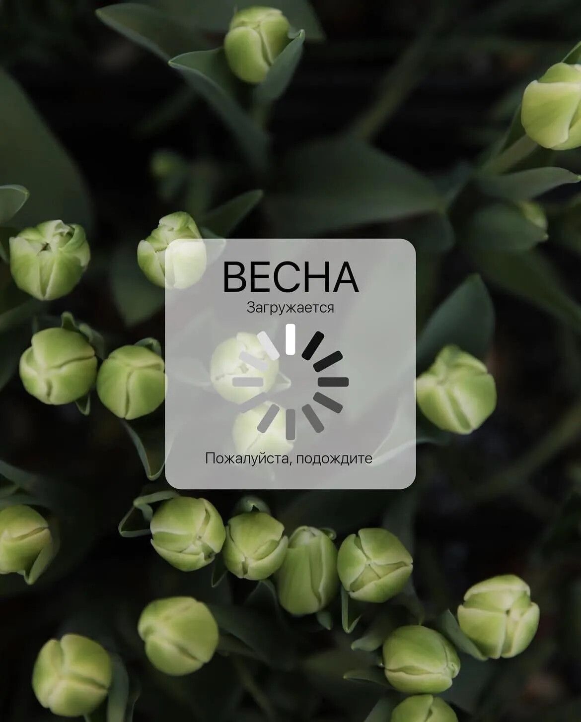 ВЕСНА Загружается Пожалуйста, подождите