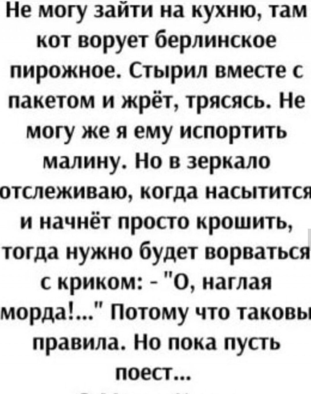 Не могу зайти на кухню, там кот ворует берлинское пирожное. Стырил вместе с пакетом и жрёт, трясясь. Не могу же я ему испортить малину. Но в зеркало отслеживаю, когда насытится и начнёт просто крошить, тогда нужно будет ворваться с криком: - 