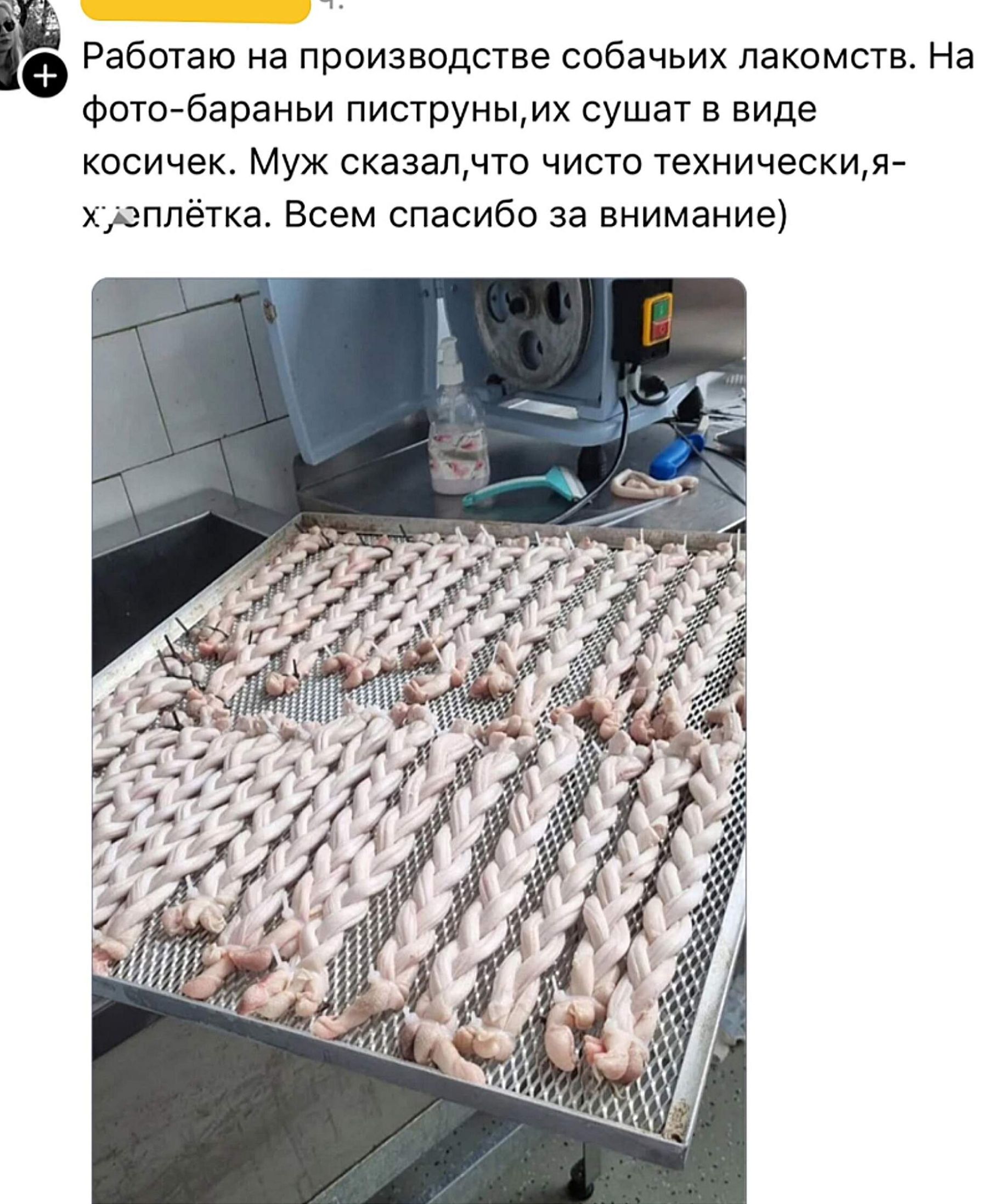 Работаю на производстве собачьих лакомств. На фото-бараньи пиструны,их сушат в виде косичек. Муж сказал,что чисто технически,я-х...плётка. Всем спасибо за внимание)