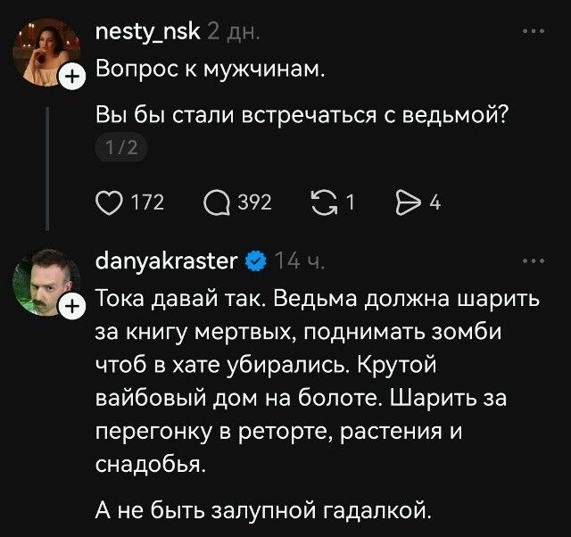 Вопрос к мужчинам. Вы бы стали встречаться с ведьмой? Тока давай так. Ведьма должна шарить за книгу мертвых, поднимать зомби чтоб в хате убирались. Крутой вайбовый дом на болоте. Шарить за перегонку в реторте, растения и снадобья. А не быть залупной гадалкой.