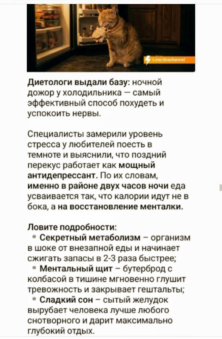 Диетологи выдали базу: ночной дожор у холодильника — самый эффективный способ похудеть и успокоить нервы. Специалисты замерили уровень стресса у любителей поесть в темноте и выяснили, что поздний перекус работает как мощный антидепрессант. По их словам, именно в районе двух часов ночи еда усваивается так, что калории идут не в бока, а на восстановл