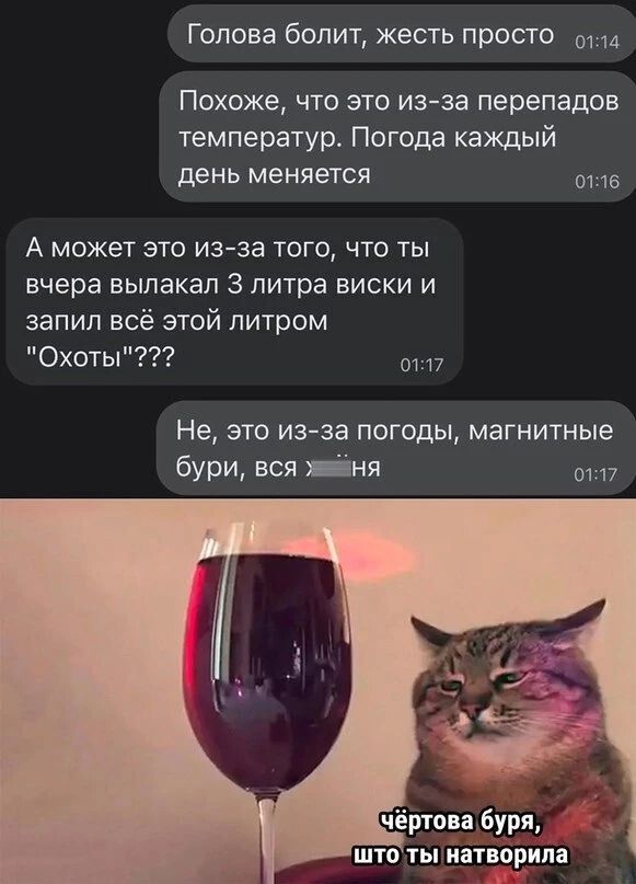 Голова болит, жесть просто. Похоже, что это из-за перепадов температур. Погода каждый день меняется. А может это из-за того, что ты вчера вылакал 3 литра виски и запил всё этой литром 