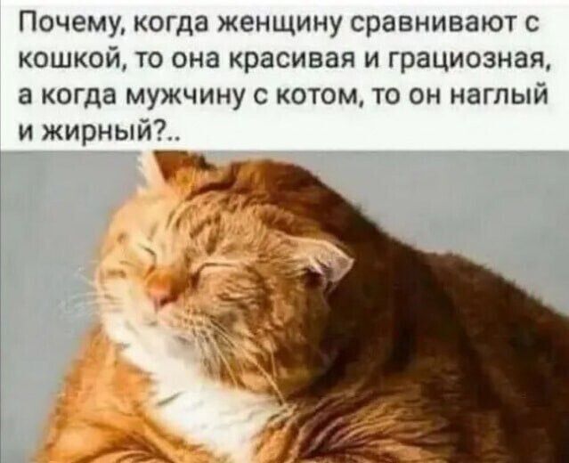 Почему, когда женщину сравнивают с кошкой, то она красивая и грациозная, а когда мужчину с котом, то он наглый и жирный?..