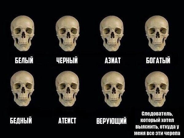 БЕЛЫЙ ЧЕРНЫЙ АЗИАТ БОГАТЫЙ БЕДНЫЙ АТЕИСТ ВЕРУЮЩИЙ Следователь, который хотел выяснить, откуда у меня все эти черепа