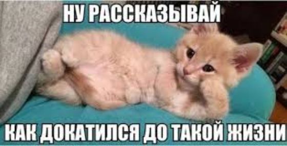 НУ РАССКАЗЫВАЙ КАК ДОКАТИЛСЯ ДО ТАКОЙ ЖИЗНИ