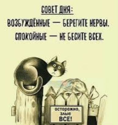 СОВЕТ ДНЯ: ВОЗБУЖДЁННЫЕ — БЕРЕГИТЕ НЕРВЫ. СПОКОЙНЫЕ — НЕ БЕСИТЕ ВСЕХ. ОСТОРОЖНО, ЗЛЫЕ ВСЕ!