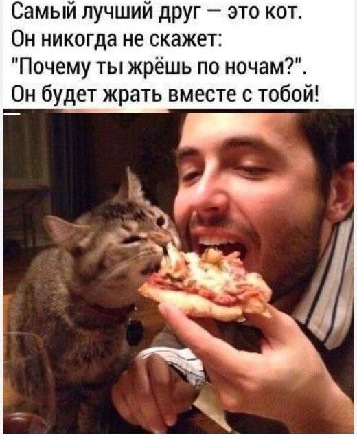 Самый лучший друг — это кот. Он никогда не скажет: 