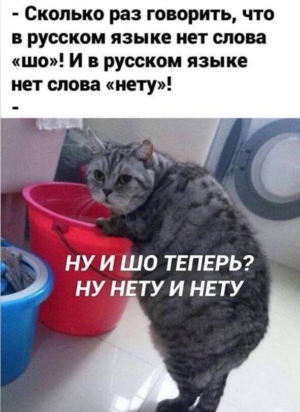 Сколько раз говорить, что в русском языке нет слова «шо»! И в русском языке нет слова «нету»! Ну и шо теперь? Ну нету и нету
