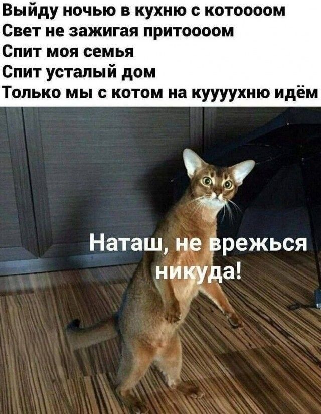 Выйду ночью в кухню с котоооом Свет не зажигая притоооом Спит моя семья Спит усталый дом Только мы с котом на куууухню идём Наташ, не врежься никуда!