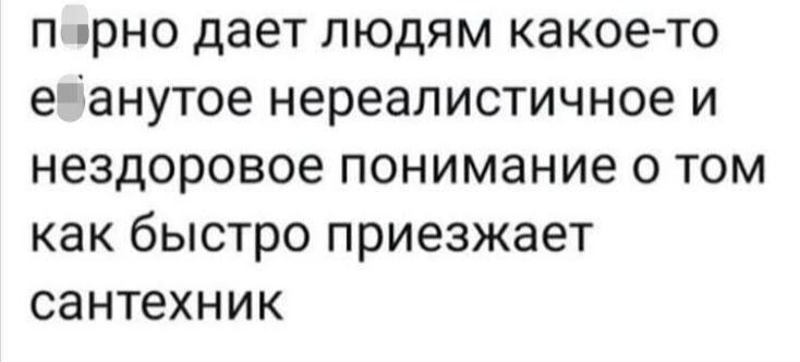 Порно дает людям какое-то ебанутое нереалистичное и нездоровое понимание о том как быстро приезжает сантехник