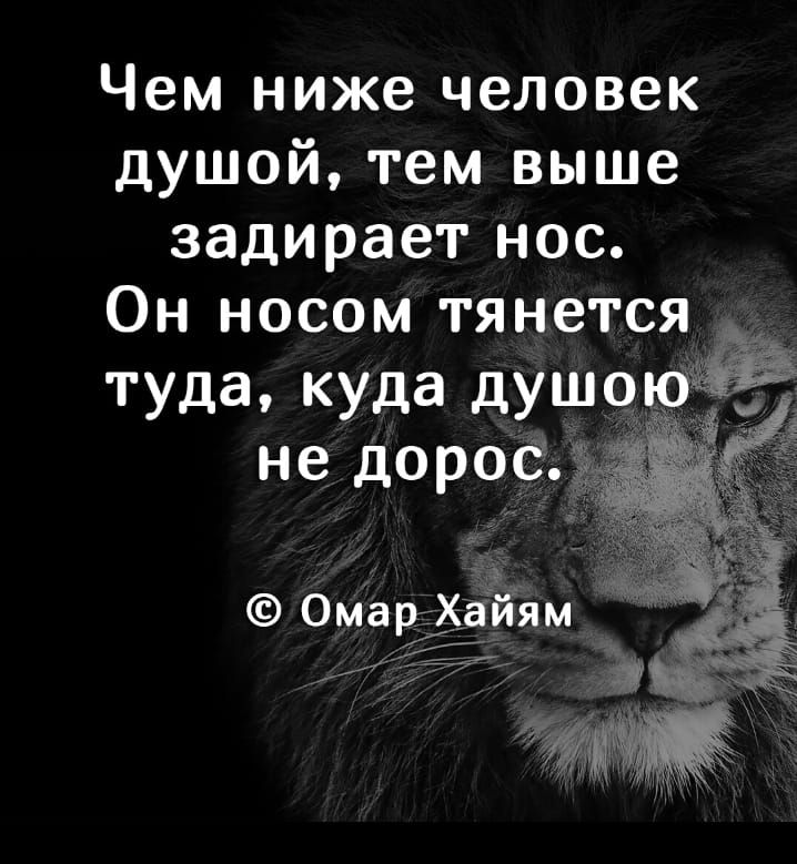 Чем ниже человек душой тем выше задирает нос Он носом тянется туда куда душою не доросла