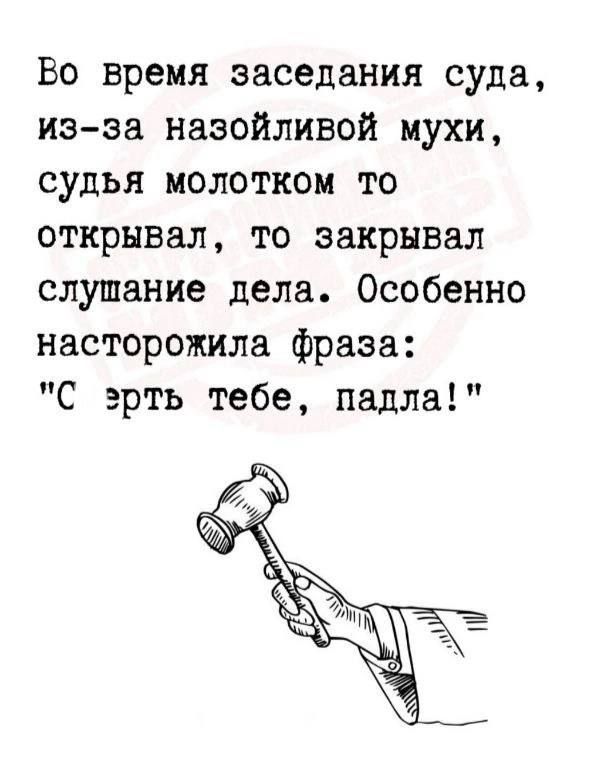 Во время заседания суда из за назойливой мухи судья молотком то открывал то закрывал слушание дела Особенно насторожила фраза С эрть тебе падла