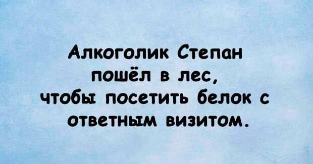 Алкоголик Степан пошёл в лес чтобы посетить белок с ответным визитом