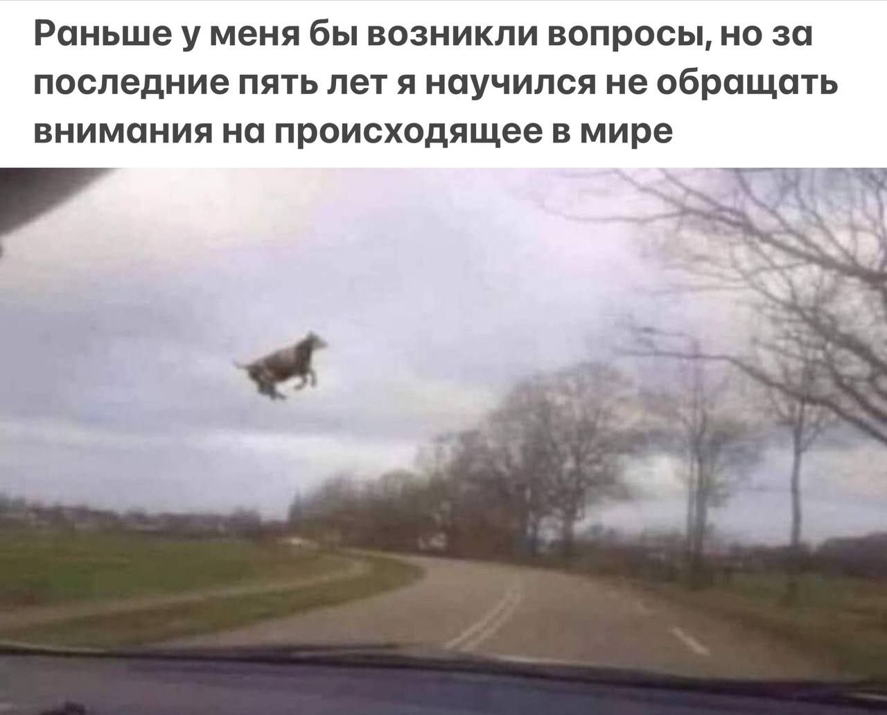 Раньше у меня бы возникли вопросы, но за последние пять лет я научился не обращать внимания на происходящее в мире