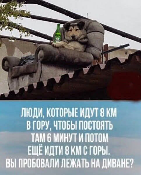 ЛЮДИ, КОТОРЫЕ ИДУТ 8 КМ В ГОРУ, ЧТОБЫ ПОСТОЯТЬ ТАМ 6 МИНУТ И ПОТОМ ЕЩЁ ИДТИ 8 КМ С ГОРЫ. ВЫ ПРОБОВАЛИ ЛЕЖАТЬ НА ДИВАНЕ?