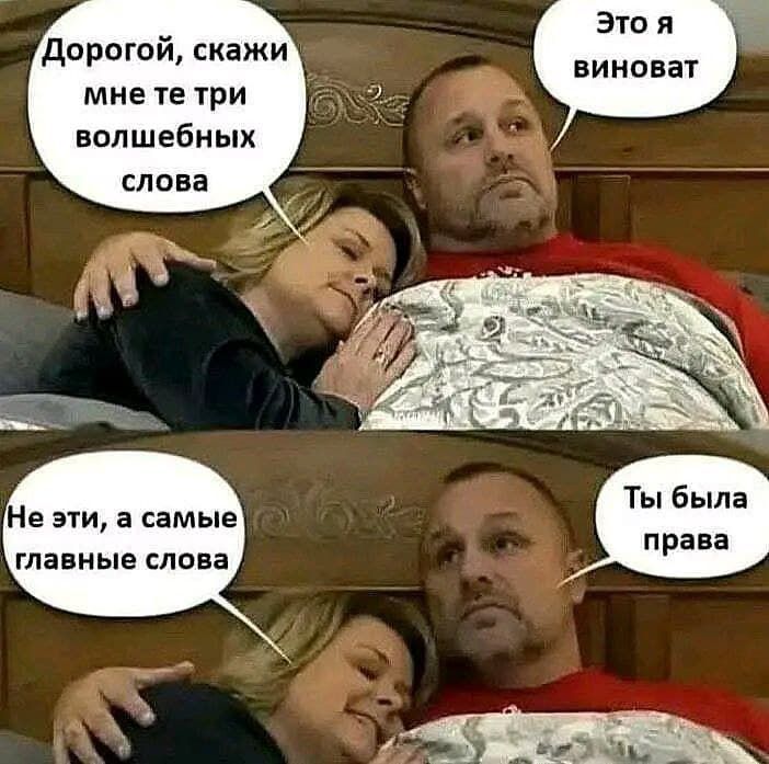 Дорогой, скажи мне те три волшебных слова. Это я виноват. Не эти, а самые главные слова. Ты была права.