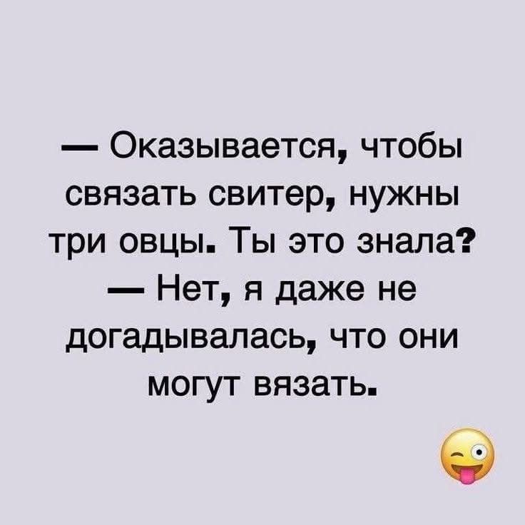 — Оказывается, чтобы связать свитер, нужны три овцы. Ты это знала? — Нет, я даже не догадывалась, что они могут вязать.