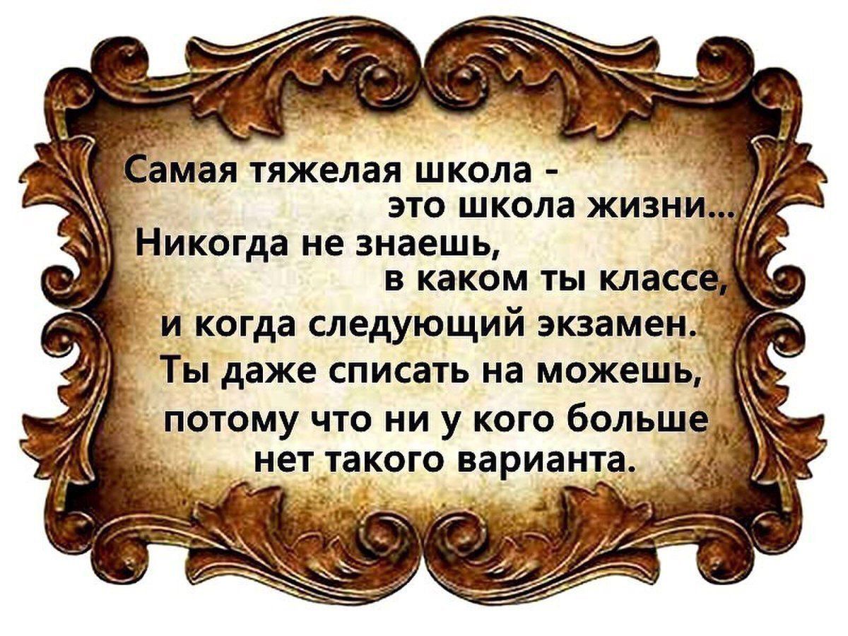 ЗМЗЯ тяжелая школа ЭТО школа жизни Никогда не знаешь В КЗКОМ ТЫ класс и когда следующий экзамен Ты даже списать на мэжешь потому что ни у кого больше та _