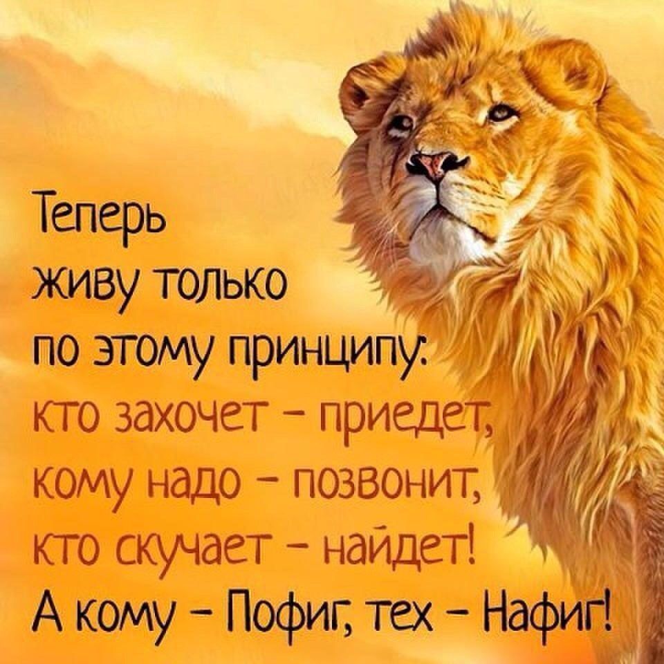 Теперь живу только кому надо позвонит кто скучает наидет А кому Пофиг щ Нафиг