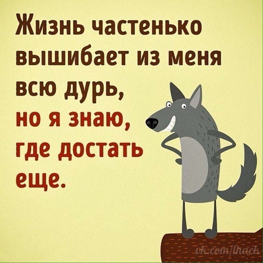 Жизнь частенько вышибает из меня всю дурь но я знаю где достать еще