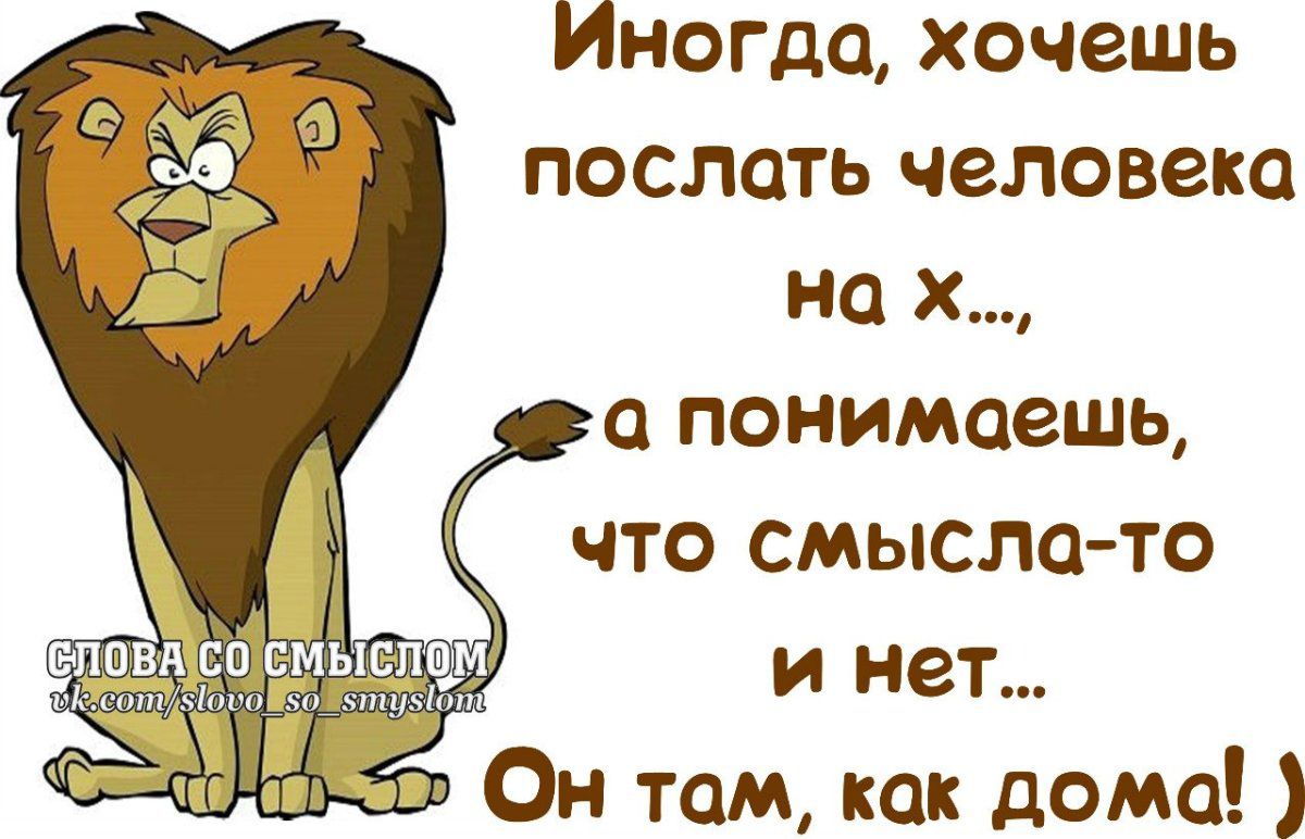 Иногда хочешь поспать человека на х понимаешь что смысла то 355 и нет а в Он там как дома