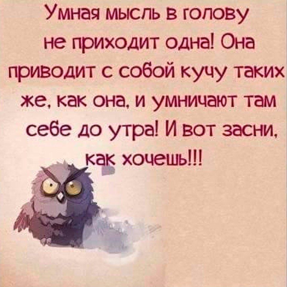 Умная мыспь в голову не приходит одна Она приводит с собой кучу таких же как она и умницаот там себе до утра И вот засни ка хочець