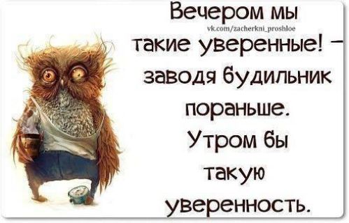 Вече такие Веренъііге заводя будильник пораньше Утром бы