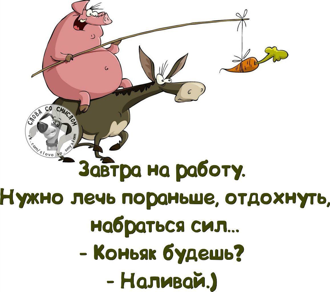 Завтра на работу Нужно лечь пораньше отдохнуть набраться сил Коньяк Будешь Наливай