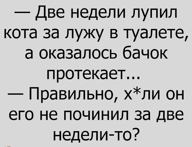 Две недели лупил кота за лужу в туалете а оказалось бачок протекает Правильно хли он его не починил за две недели то