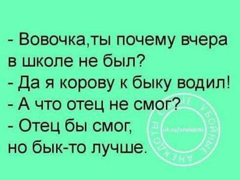 Вовочкаты почему вчера в школе не был Да я корову к быку водил А что отец не смог Отец бы смог но бык то лучше