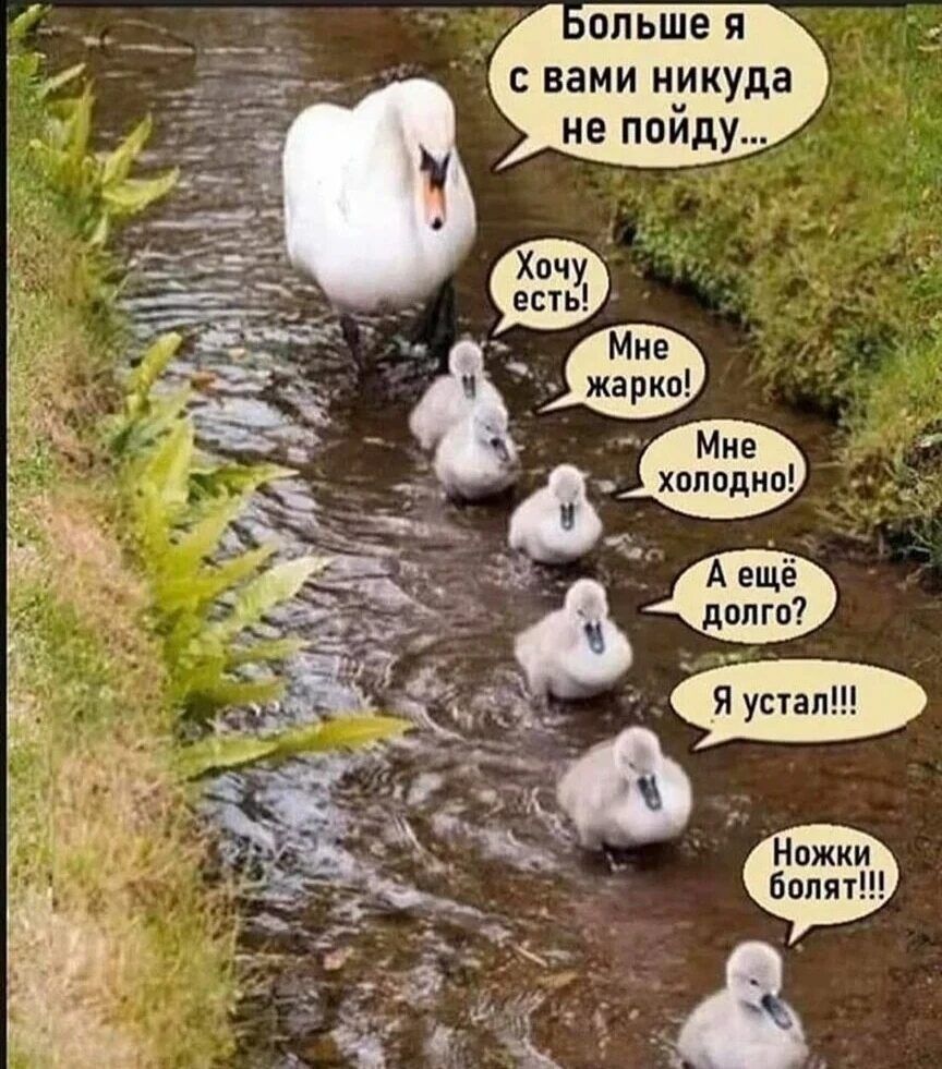 ОПЬШВ Я С Вами никуда не поиду
