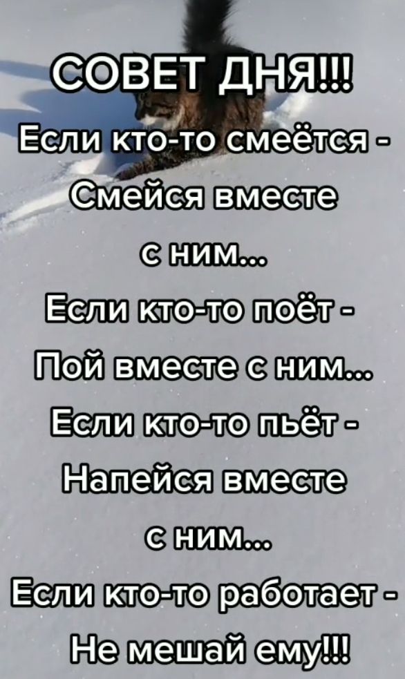 Смеисявместе НОО Есликто топоет Пойвместетени Ма Есликто топьет Напейсявместе К Есликто тоработаела Немешайему