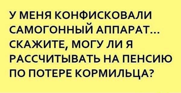 У МЕНЯ КОНФИСКОВАЛИ САМОГОННЫЙ АППАРАТ... СКАЖИТЕ, МОГУ ЛИ Я РАССЧИТЫВАТЬ НА ПЕНСИЮ ПО ПОТЕРЕ КОРМИЛЬЦА?