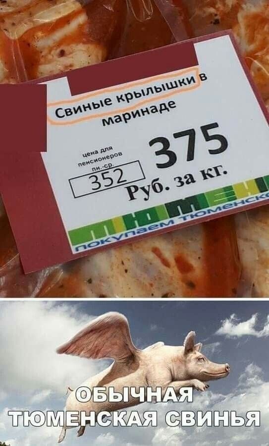 Свининые крылышки в маринаде
цена для пенсионеров
375
352
Руб. за кг.
ОБЫЧНАЯ ТЮМЕНСКАЯ СВИНЬЯ
