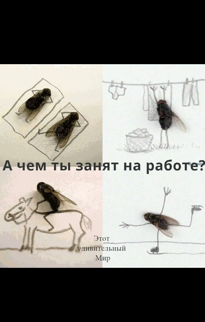 Этот уцивишцыіый Мир