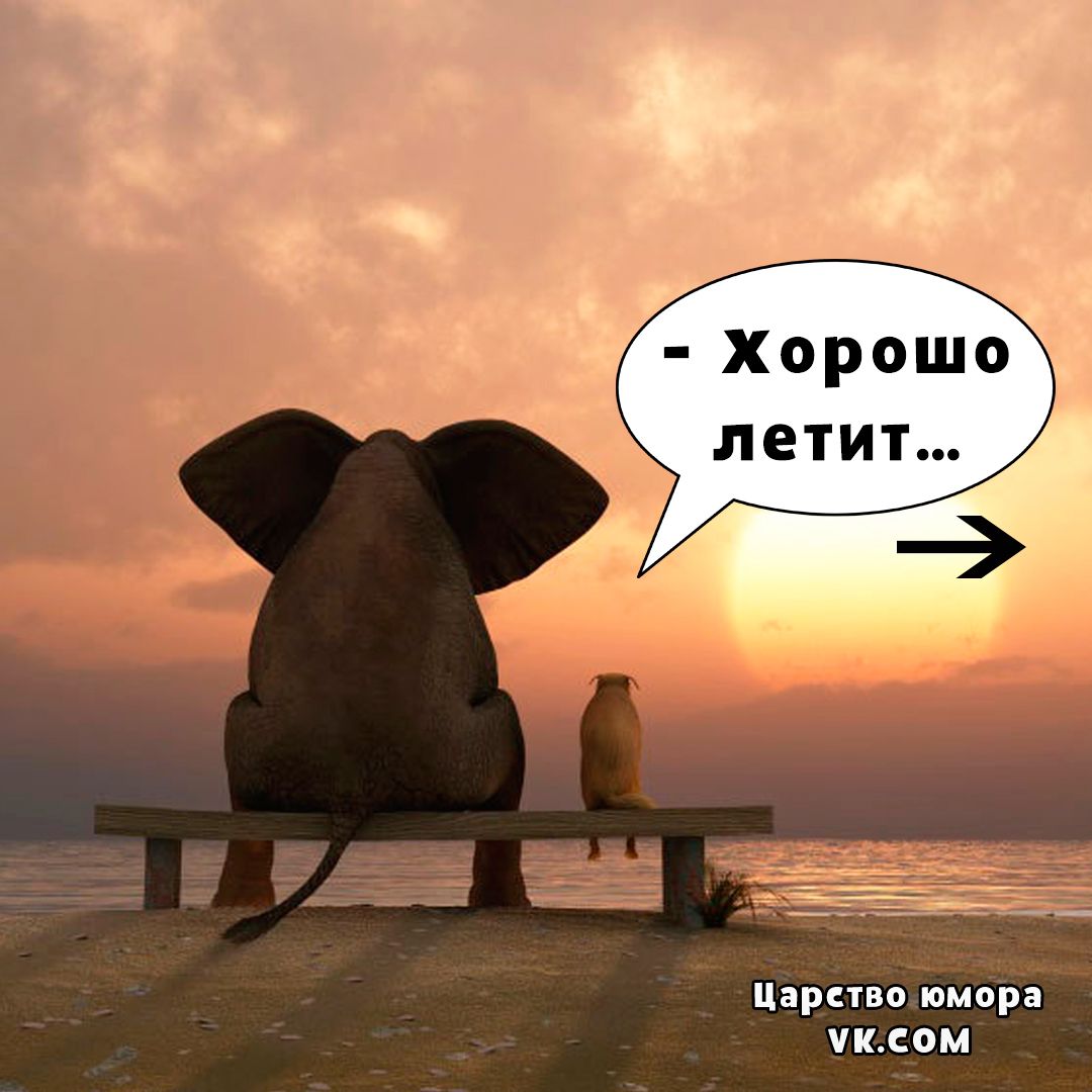 - Хорошо летит...