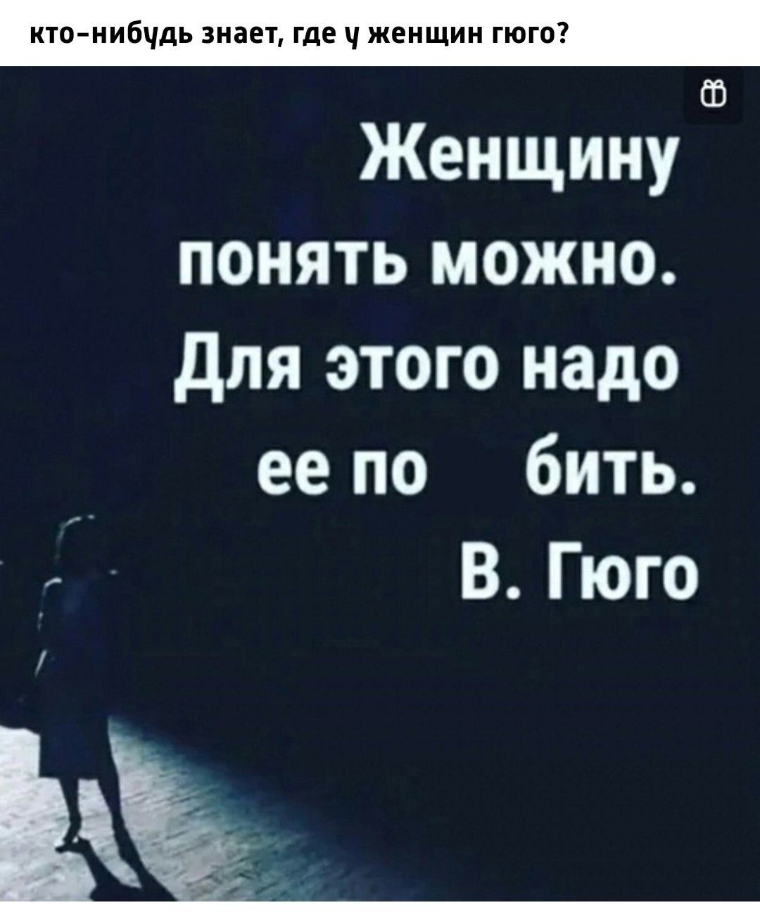 кю нибчдь виви где женщин гюгп Женщину понять можно для этого надо ее по бить В Гюго